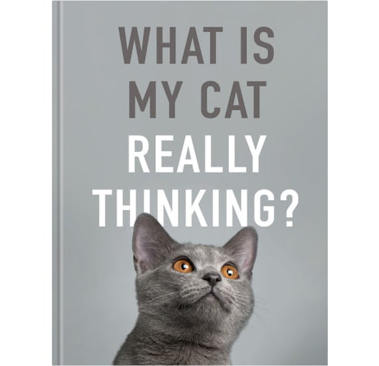 What is My Cat Really Thinking