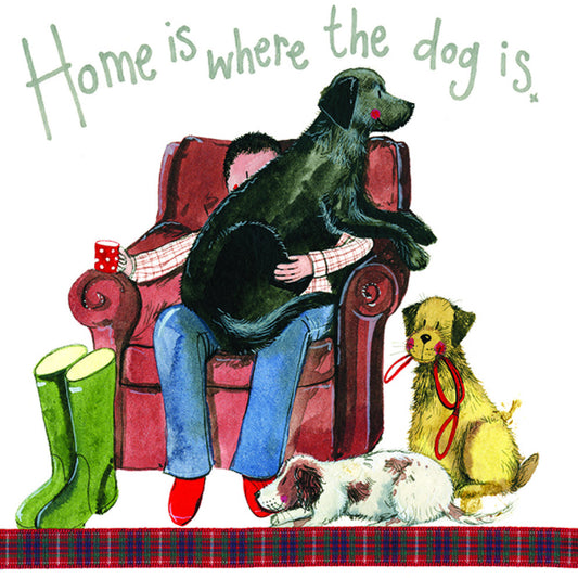 Happy Birthday - Home is where the dog is