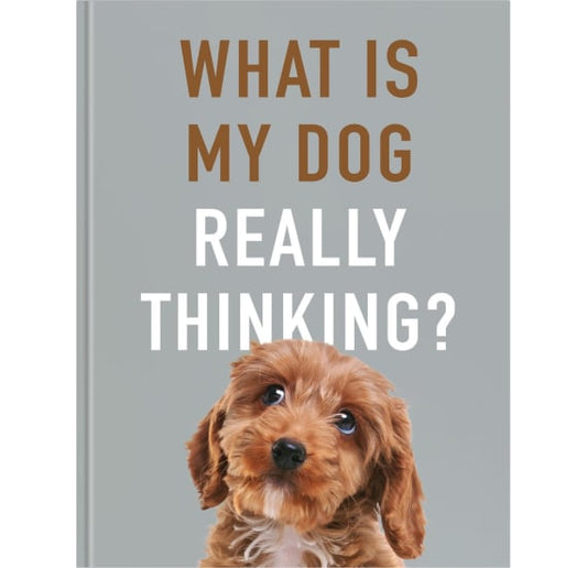 What is your dog REALLY thinking?
