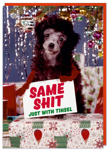 Rude Christmas card - Same Shit