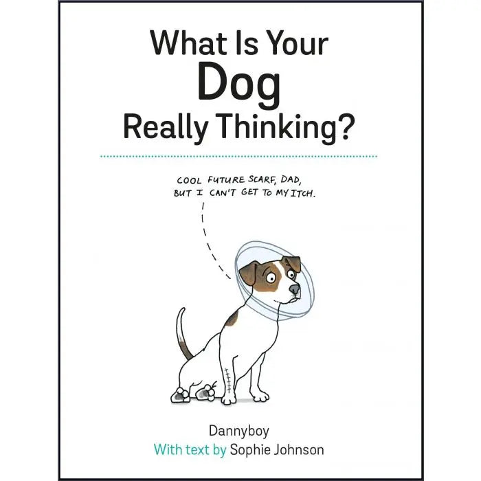 What is your dog REALLY thinking?