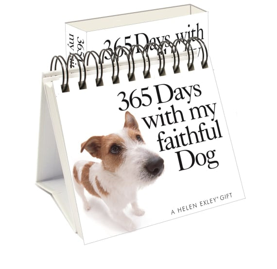 365 Days with my faithful Dog