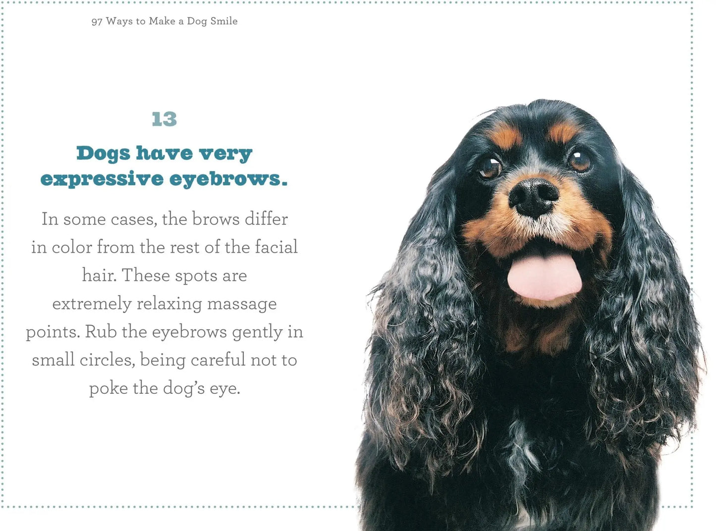 Book - 97 Ways to Make a Dog Smile