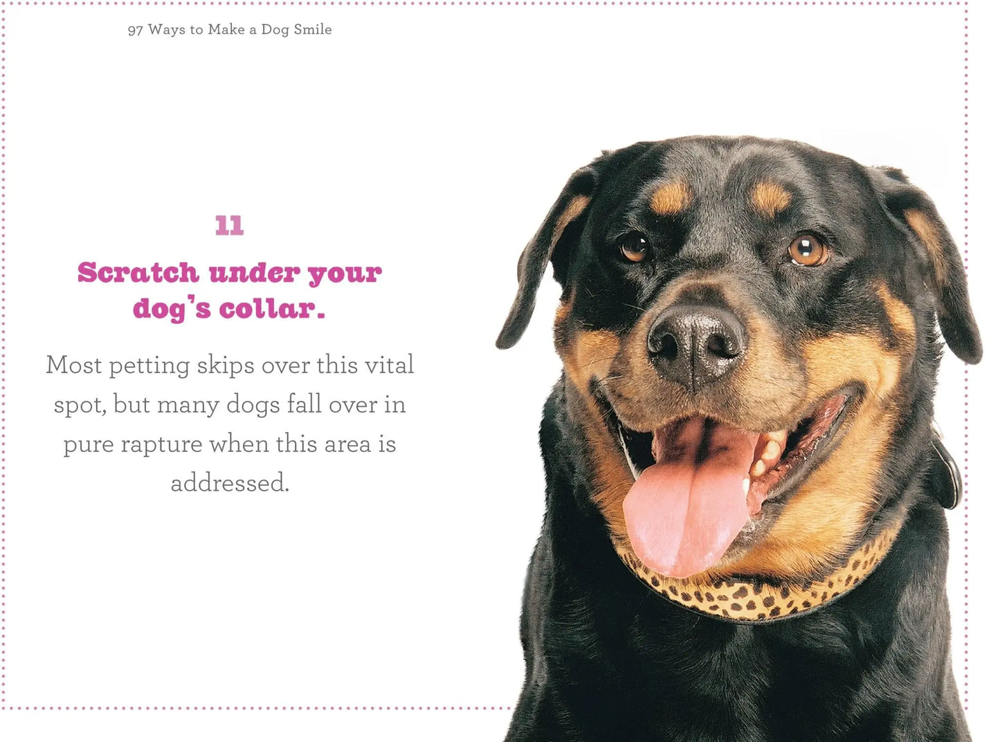 Book - 97 Ways to Make a Dog Smile