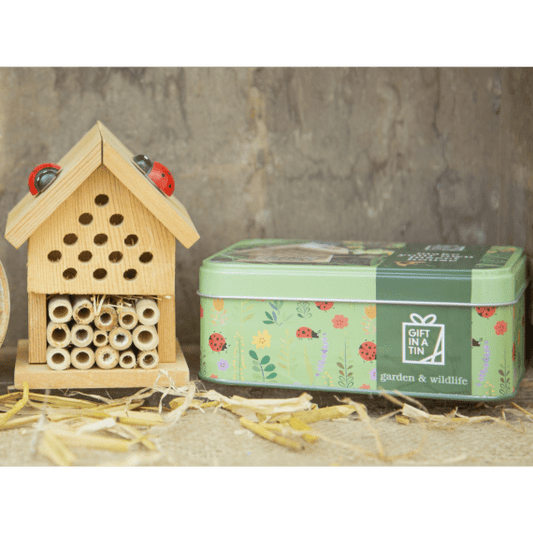 Gift in a tin - Make your own Insect House